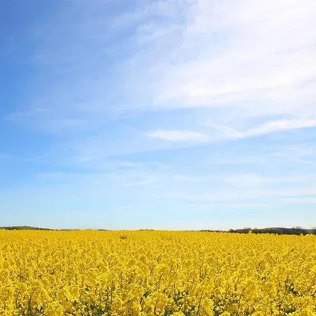 Mit Meerblick Und Balkon, Gratis Nutzung Vom Ahoi Erlebnisbad Und Sauna In Sellin - Meeresblick 37 * Goehren (Ruegen)